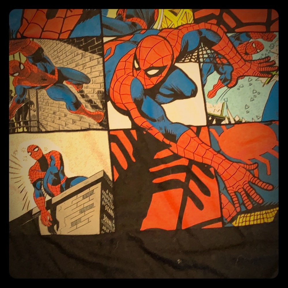 Vintage Spider-Man shirt